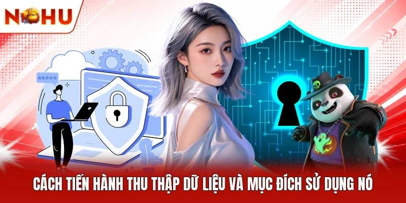 Cách tiến hành thu thập dữ liệu và mục đích sử dụng nó